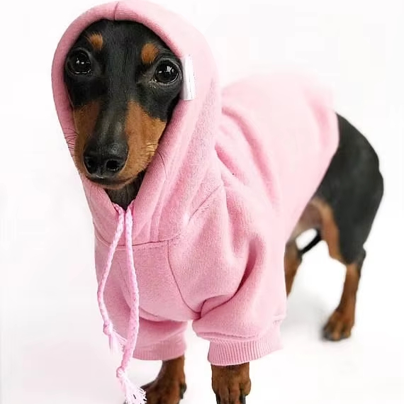 Custom screen print sweatshirts with graphics